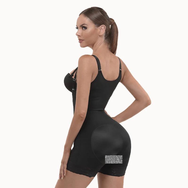 Organic Vegetable Box